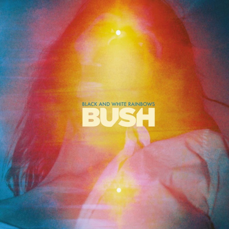 Bush